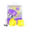 Silentblocks del puente trasero